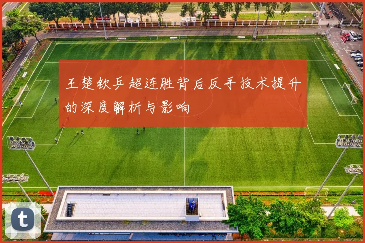 王楚钦乒超连胜背后反手技术提升的深度解析与影响