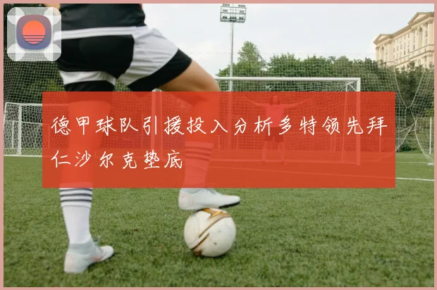 德甲球队引援投入分析多特领先拜仁沙尔克垫底