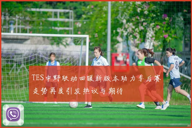 TES中野联动回暖新版本助力季后赛走势再度引发热议与期待